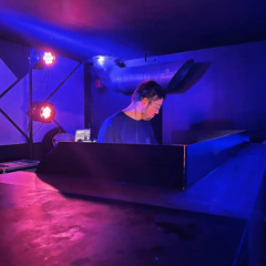 Vaulted Grooves invites Steve Reznik @ niche club gent