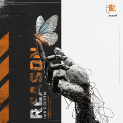 Kid Digital - Reason