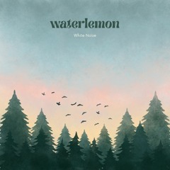 Waterlemon - White Noise