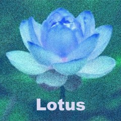 Lotus (For three guitars)