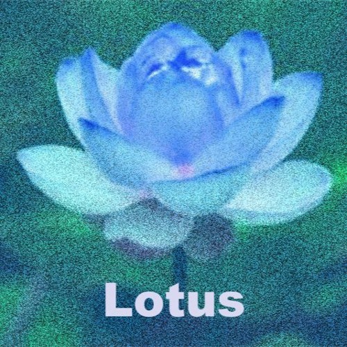 Lotus (For three guitars)