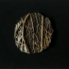 The fallen tree - Hole border - fictional soundscape