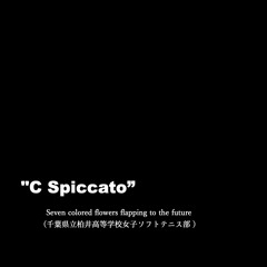 +sense Re Sugahara  C Spiccato