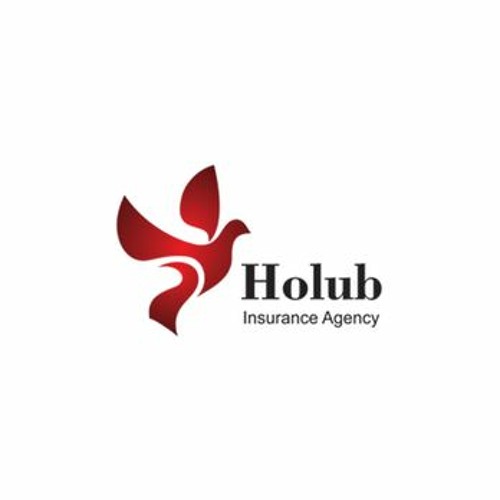 Holub Insurance Agency Ad