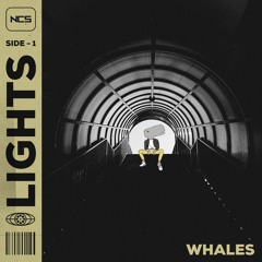 Whales - Lights