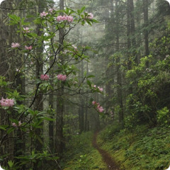 addiction/ love & drugz pt.2