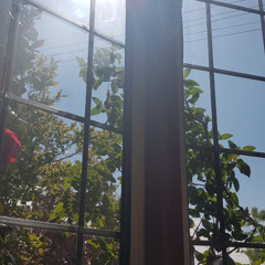 The Watercourse Way w/ Jamie Nu - 17/08/2025