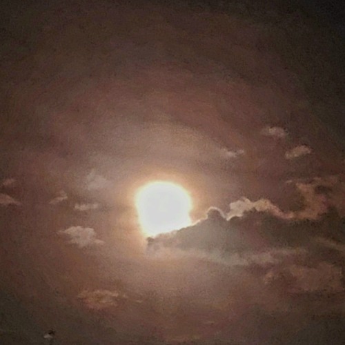 Laid Back Intro (Demo) (Prod.Tommorow's Echo)