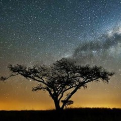 Amapiano Nights Vol 3 - Deejay Shotime