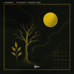 Fleanger - Yesterday Passed Here