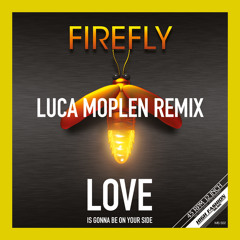 Love Is Gonna Be On Your Side (Moplen Remix)