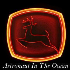 Astronaut In The Ocean ( Remix)