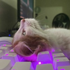 Pero si te vas - BKID (prod. Jake)