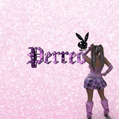 ༺♡༻ Perreo Mixes ༺♡༻