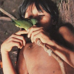 jungle cat (prod. MUDDY WAVES)