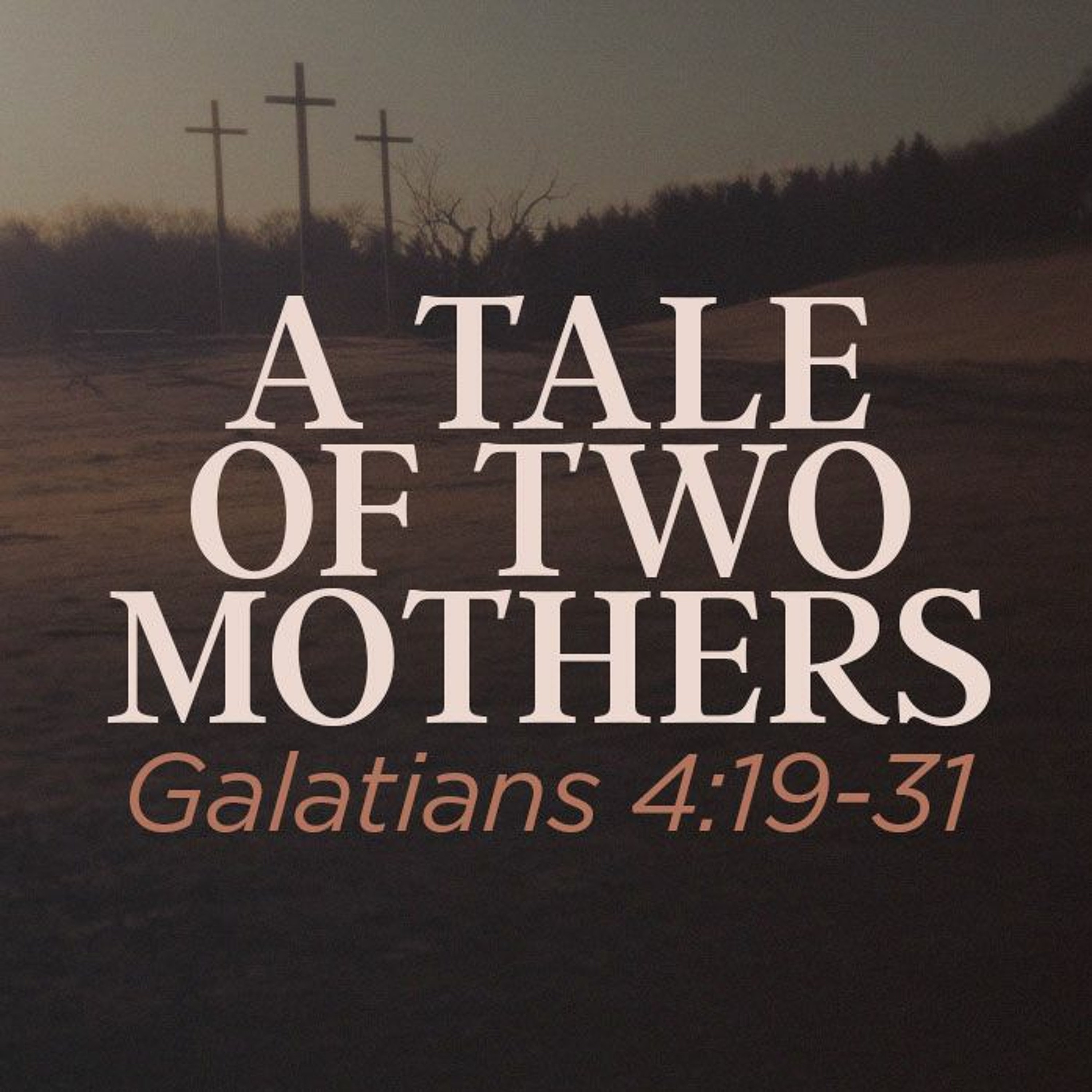 Sunday Sermons