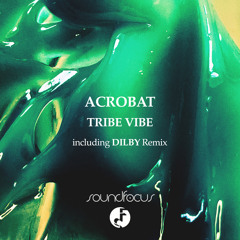 Tribe Vibe (Dilby Remix)