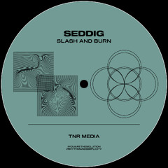 SYN Premiere: Seddig - Web of Mind [TNR MEDIA]