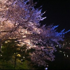 Up! (feat. RockOut Hitori | 봇치 )