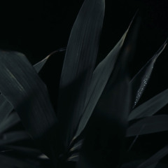 Track 9