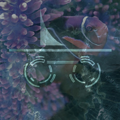 XVII - Incognito_submerge_w. Jasper Kråch_[Wax Only]