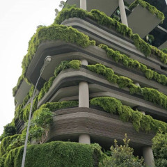 needonly! ft. reddorg