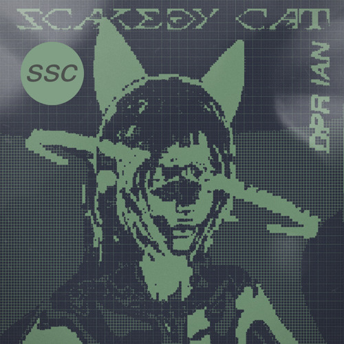 Stream DPR IAN - Scaredy cat (SSC REMIX) by Softsound Club
