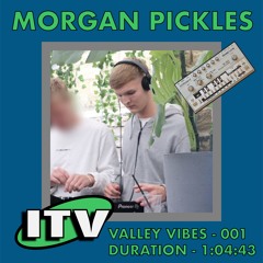 Valley Vibes 001 ( MORGAN PICKLES )