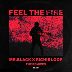 Feel The Fire (D.N.A Remix)
