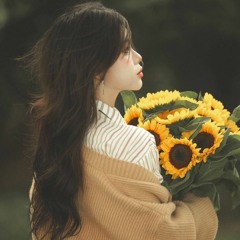 Có Thể Hay Không  - Trương Tử Hào   可不可以  - 張紫豪