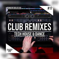 ✘ Festival & Club Remixes Mix 2024 | #17 | Tech House & Dance Music | By DJ BLENDSKY ✘