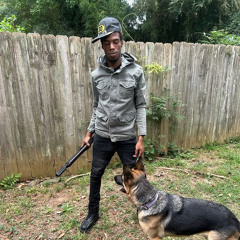 noon - miami heat (chris finesse exclusives + nino andretti)