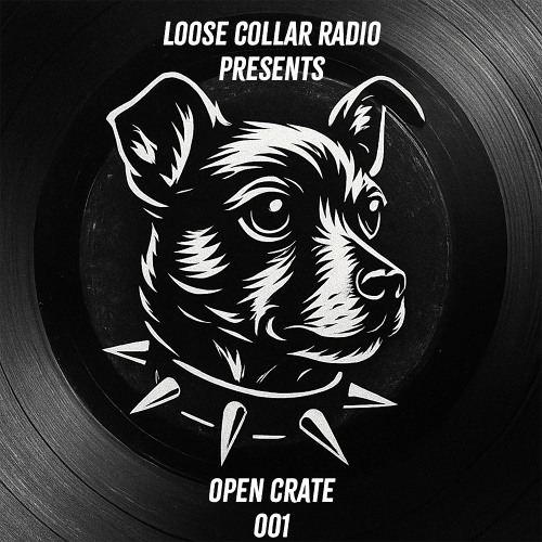 Loose Collar Radio - Open Crate 001
