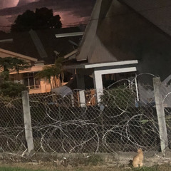 Langit Malam