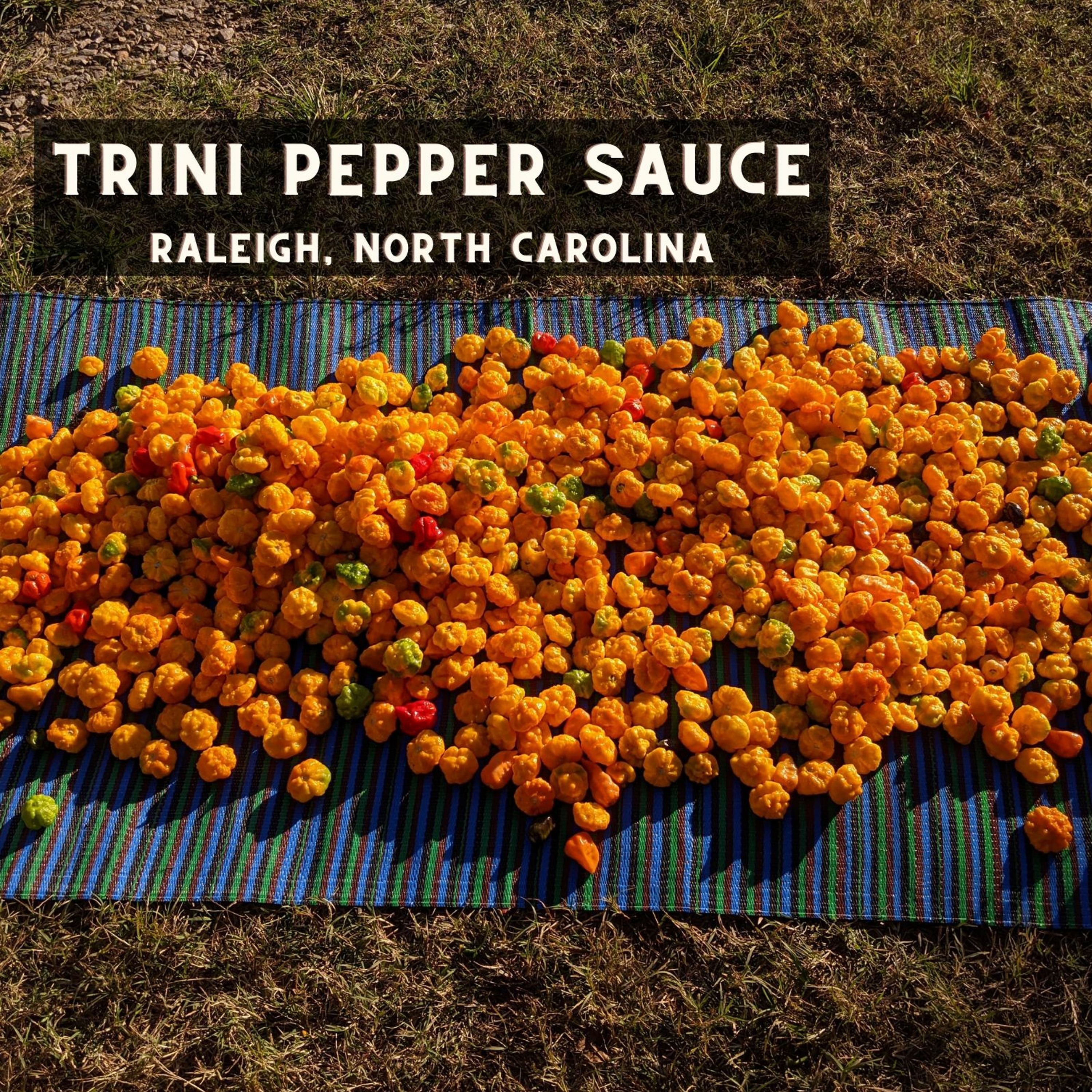 Craft Hot Sauce Podcast
