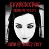 Tải video: Evanescence - Bring Me To Life (Hush & Sleep Edit) (FREE DL)