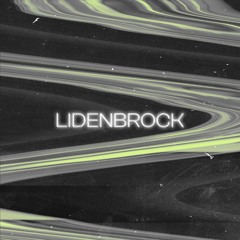 Lidenbrock ft. BROPAN - The Wanderer