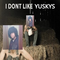 i dont like yuskys