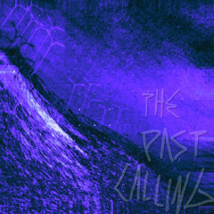 နေကာမျက်မှန်(Demo) - The Past Calling