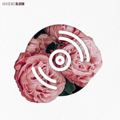 Haxsews - Bloom