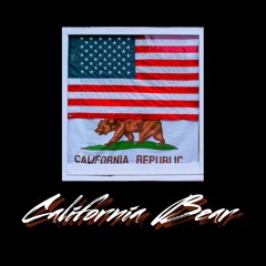 Ski- California Bear