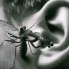 Baldis playlist