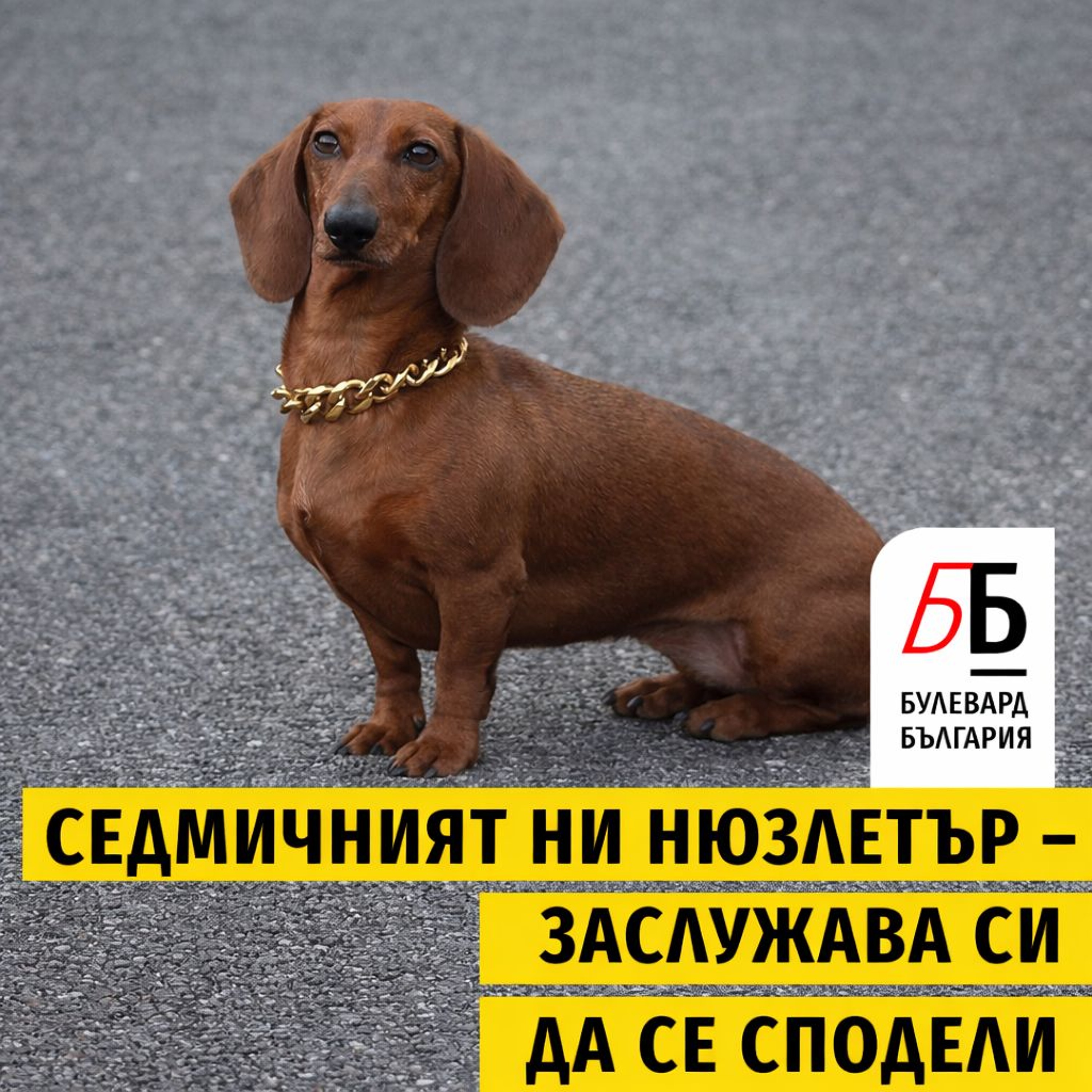 Voiceletter: Загубата, която се преобръща в победа, Епизод 11