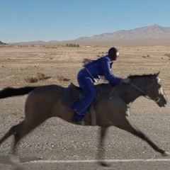 Bad Bunny - Vou 787 (Rosa Remix)