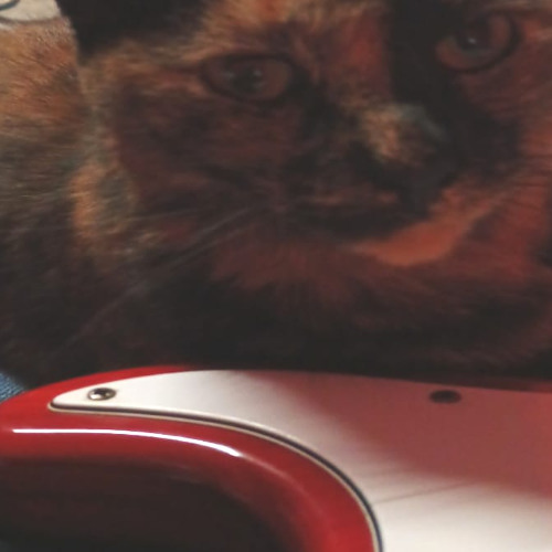 la idea era terminar esta en 7... - demo