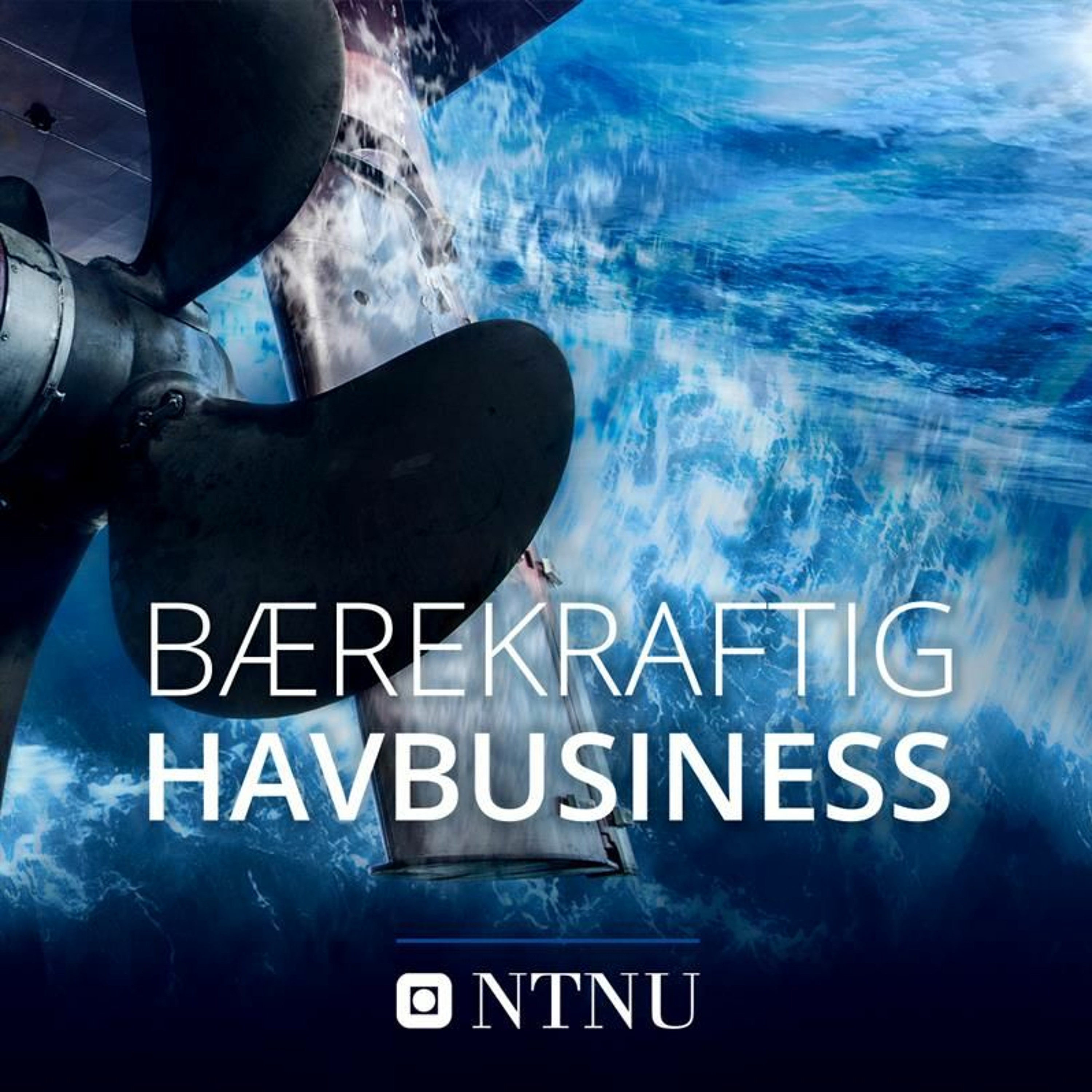 Bærekraftig havbusiness