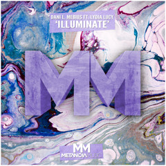 Illuminate (feat. Lydia Lucy)