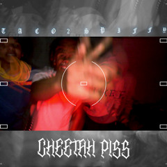 Cheetah Piss (freestyle)
