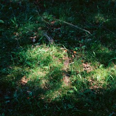 Versions of That Fear