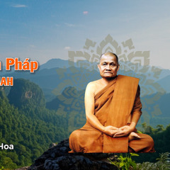 Cách thực hành pháp - Thiền Sư Ajahn Chah - Sư Tâm Pháp dịch